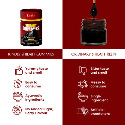 Pure Himalayan Shilajit Gummies | No Added Sugar | Berry Flavoured