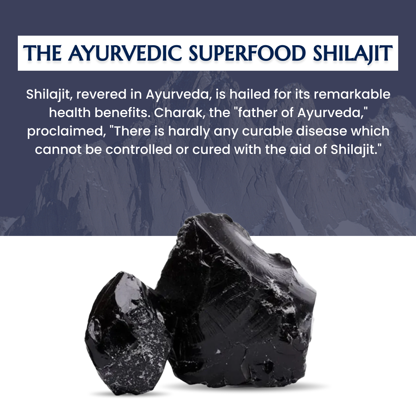 Pure Himalayan Shilajit Gummies | No Added Sugar | Berry Flavoured