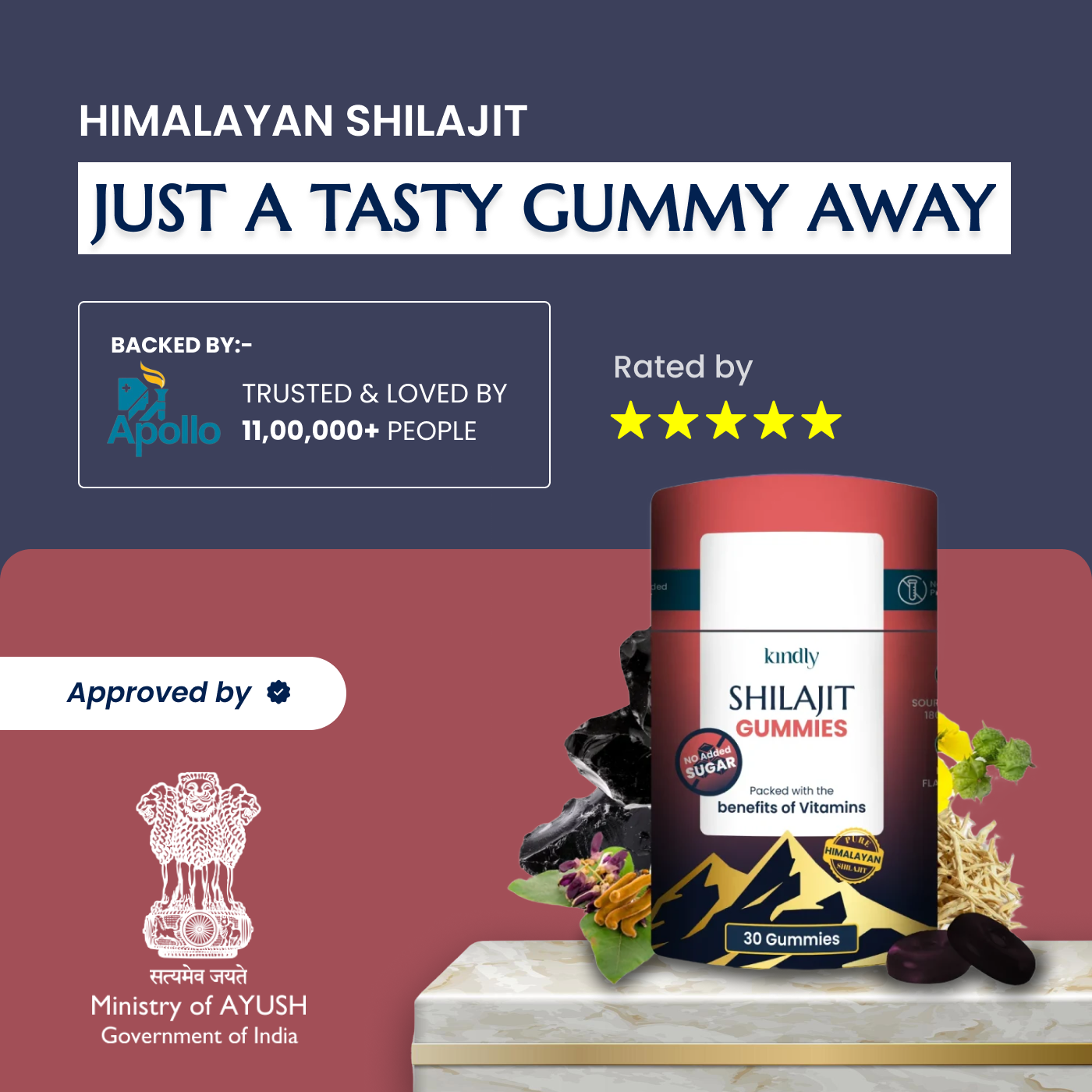 Pure Himalayan Shilajit Gummies | No Added Sugar | Berry Flavoured